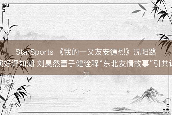 StarSports 《我的一又友安德烈》沈阳路演好评如潮 刘昊然董子健诠释“东北友情故事”引共识