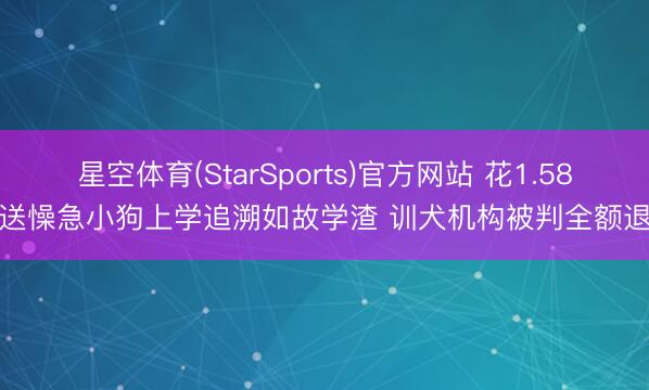 星空体育(StarSports)官方网站 花1.58万送懆急小狗上学追溯如故学渣 训犬机构被判全额退款