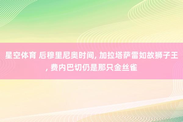 星空体育 后穆里尼奥时间, 加拉塔萨雷如故狮子王, 费内巴切仍是那只金丝雀