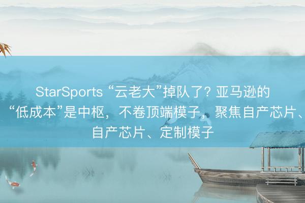 StarSports “云老大”掉队了? 亚马逊的“AI计谋”：“低成本”是中枢，不卷顶端模子，聚焦自产芯片、定制模子