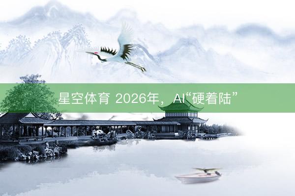星空体育 2026年，AI“硬着陆”