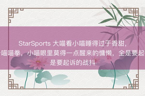 StarSports 大喵看小喵睡得过于香甜，径直一击喵喵拳，小喵眼里莫得一点醒来的慵懒，全是要起诉的战抖
