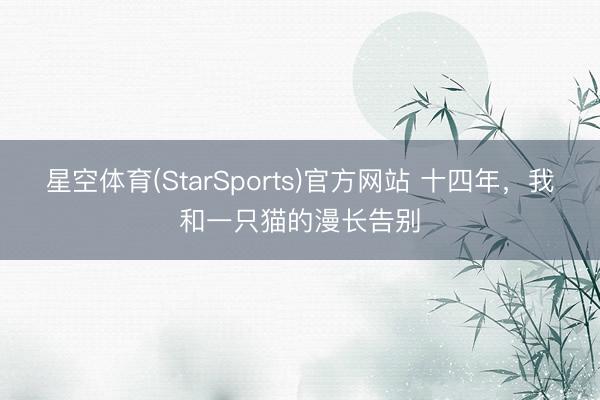 星空体育(StarSports)官方网站 十四年，我和一只猫的漫长告别
