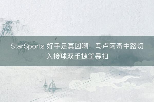 StarSports 好手足真凶啊！马卢阿奇中路切入接球双手拽筐暴扣