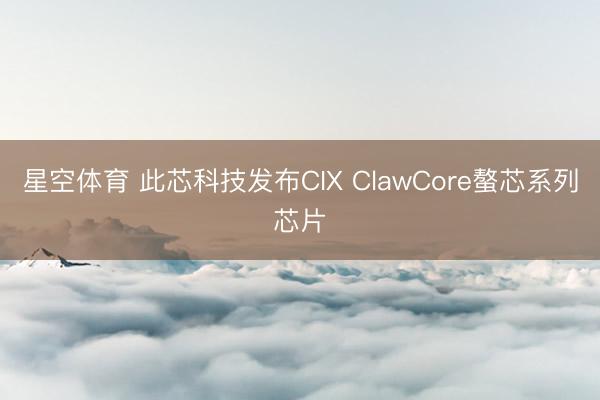 星空体育 此芯科技发布CIX ClawCore螯芯系列芯片