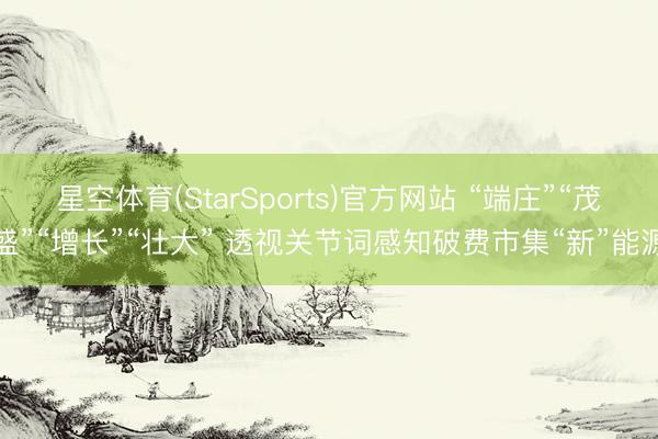 星空体育(StarSports)官方网站 “端庄”“茂盛”“增长”“壮大” 透视关节词感知破费市集“新”能源