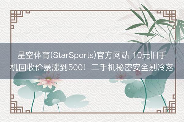 星空体育(StarSports)官方网站 10元旧手机回收价暴涨到500！二手机秘密安全别冷落