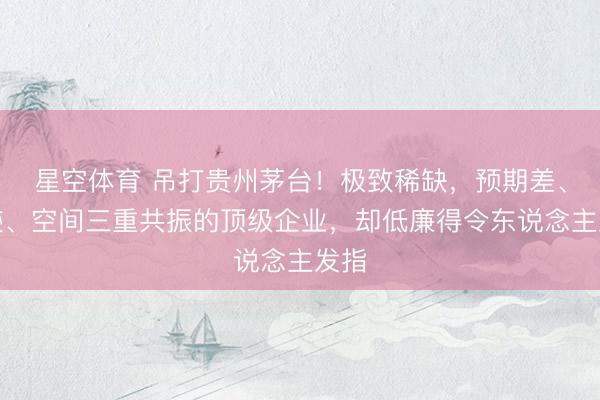 星空体育 吊打贵州茅台!极致稀缺,预期差、事迹、空间三重共振的顶级企业,却低廉得令东说念主发指