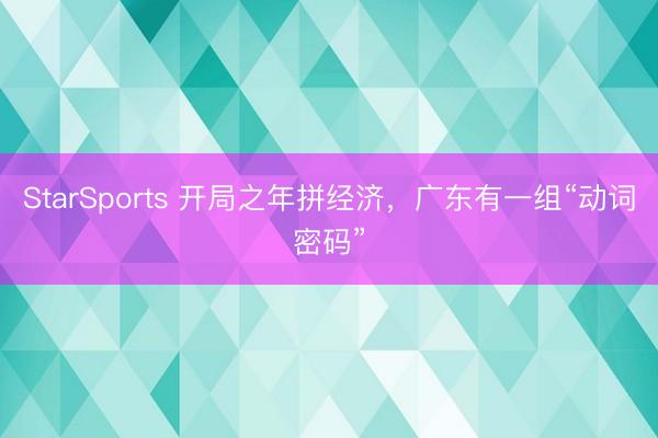 StarSports 开局之年拼经济,广东有一组“动词密码”
