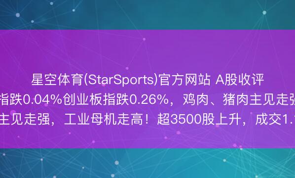星空体育(StarSports)官方网站 A股收评:三大指数集体下降,沪指跌0.04%创业板指跌0.26%,鸡肉、猪肉主见走强,工业母机走高!超3500股上升,成交1.18万亿缩量1073亿