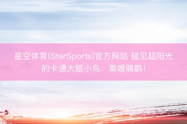 星空体育(StarSports)官方网站 碰见超阳光的卡通大眼小鸟：栗喉鵙鹛！
