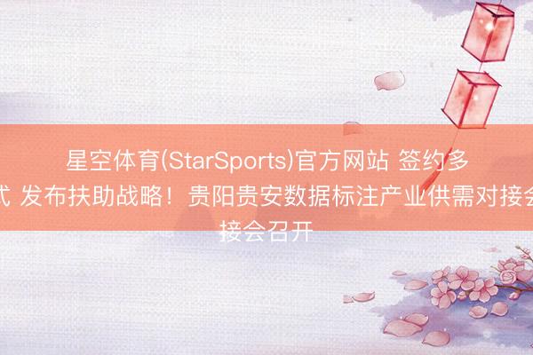 星空体育(StarSports)官方网站 签约多个花式 发布扶助战略!贵阳贵安数据标注产业供需对接会召开