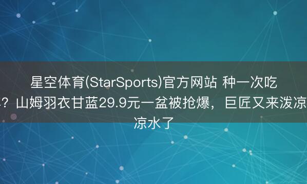 星空体育(StarSports)官方网站 种一次吃一年？山姆羽衣甘蓝29.9元一盆被抢爆，巨匠又来泼凉水了