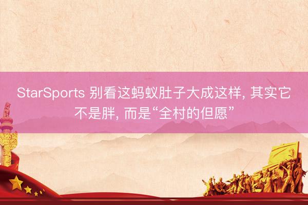 StarSports 别看这蚂蚁肚子大成这样, 其实它不是胖, 而是“全村的但愿”