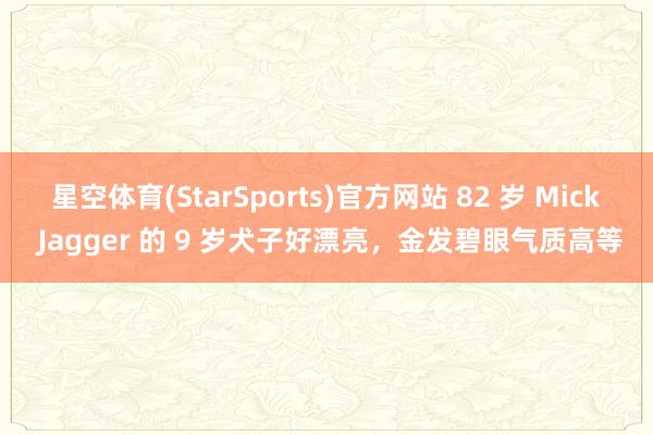 星空体育(StarSports)官方网站 82 岁 Mick Jagger 的 9 岁犬子好漂亮，金发碧眼气质高等