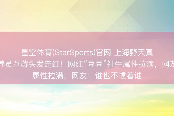 星空体育(StarSports)官网 上海野天真物园蜘蛛猴与饲养员互薅头发走红！网红“豆豆”社牛属性拉满，网友：谁也不惯着谁