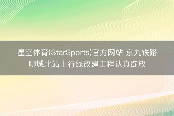 星空体育(StarSports)官方网站 京九铁路聊城北站上行线改建工程认真绽放