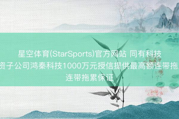 星空体育(StarSports)官方网站 同有科技: 为全资子公司鸿秦科技1000万元授信提供最高额连带拖累保证