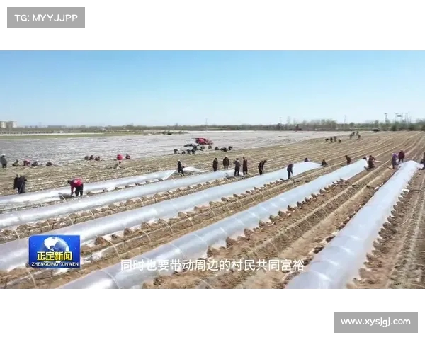 地瓜经济与三个浙江:探索乡村振兴与区域发展新模式 地瓜经济与三个浙江:探索乡村振兴与区域发展新模式